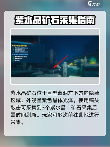 潜水员戴夫紫水晶在哪里介绍截图4