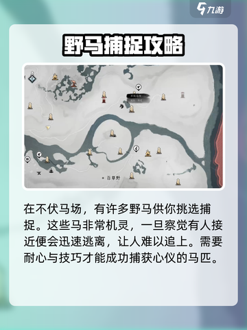 燕云十六声马怎么获得介绍截图3