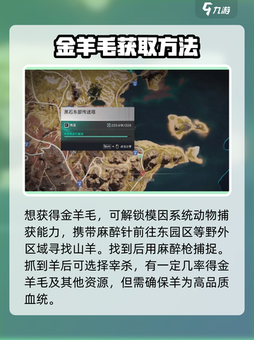 七日世界金羊毛有什么用介绍截图3
