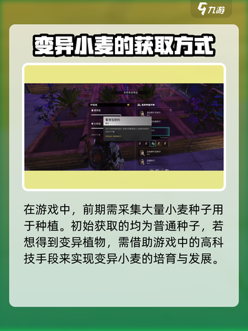 七日世界变异小麦这么获取介绍截图3