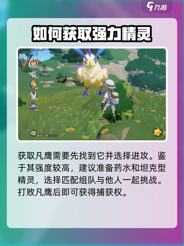 洛克王国手游🔥凡鹰超详细解析来了！✨截图5