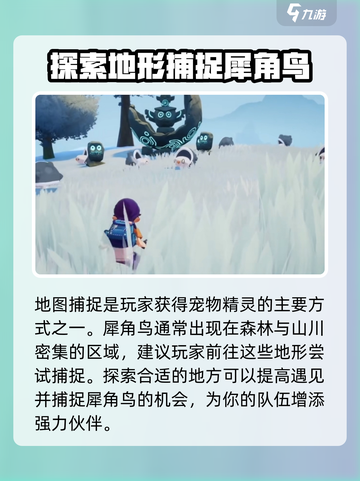 洛克王国手游犀角鸟怎么获得介绍截图4
