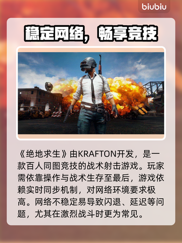 💥绝地求生闪退？一招解决！🎮截图2