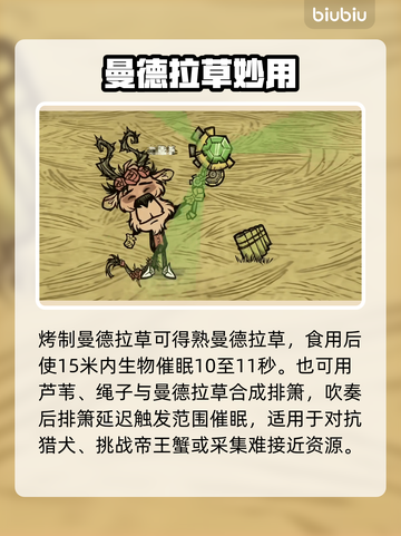 【饥荒】曼德拉草逆天用法！🌱截图5