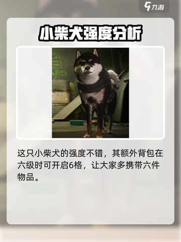 萤火突击摩卡🔥超值获取攻略_Game Name必备🎉截图2
