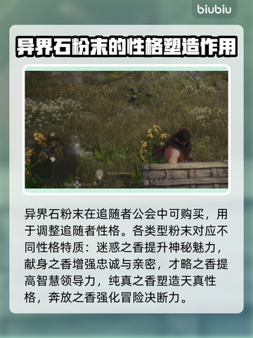 龙之信条2🔥异界石粉末使用大全💎截图2