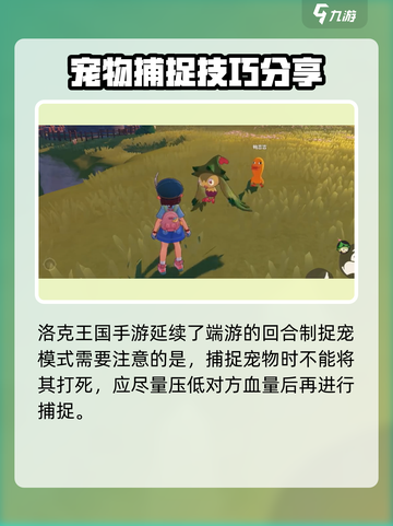 洛克王国世界🔥必看！轻松捉精灵攻略🎉截图2