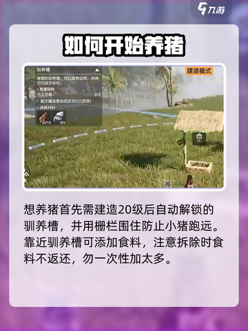 荒野起源养猪秘籍🔥猪圈建造完全指南截图2