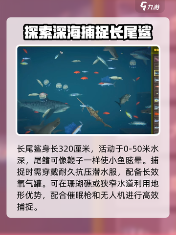 潜水员戴夫鲨鱼怎么抓介绍截图4