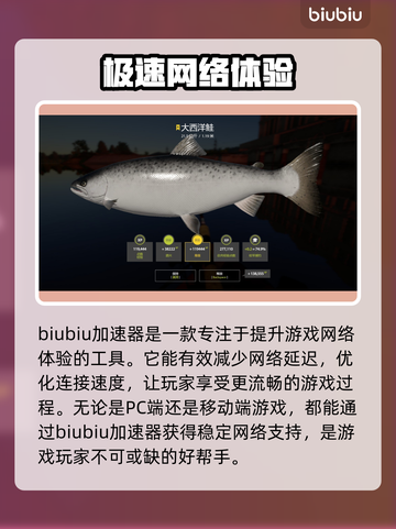 俄钓4⚡加速器下载推荐，玩饥饿鲨必备🔥截图2