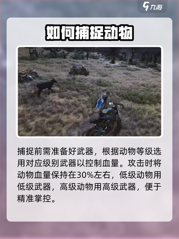 七日世界怎么抓动物介绍截图3
