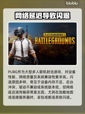 🔥 PUBG闪退原因全解析！游戏技巧大公开 🎮💥截图2
