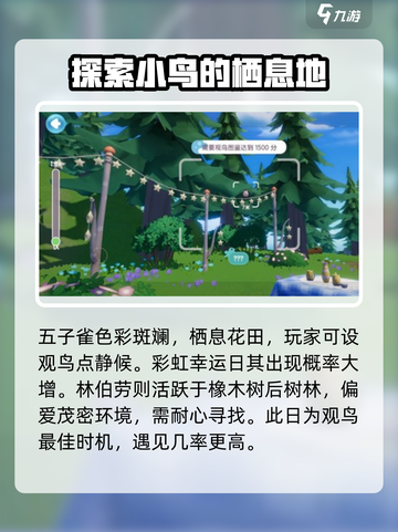 心动小镇🔥超全解锁观鸟方法birdsWATCHING✨截图3