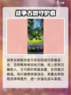 光明冒险自然阵容怎么搭配介绍截图5