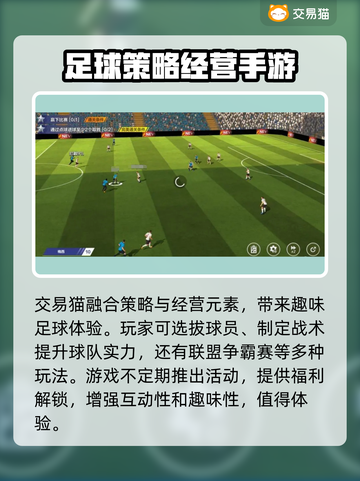 全民冠军足球😎买号平台大揭秘！安全吗？截图2