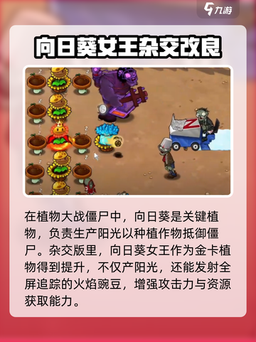 植物大战僵尸杂交版向日葵怎么样介绍截图2