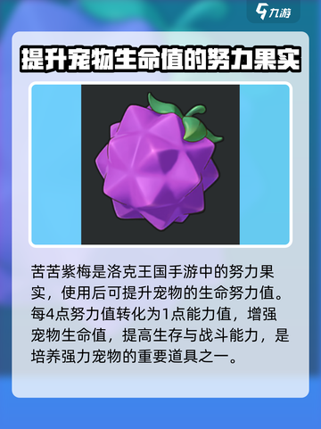 洛克王国手游道具有哪些介绍截图7