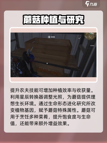 七日世界手游怎么种蘑菇介绍截图4