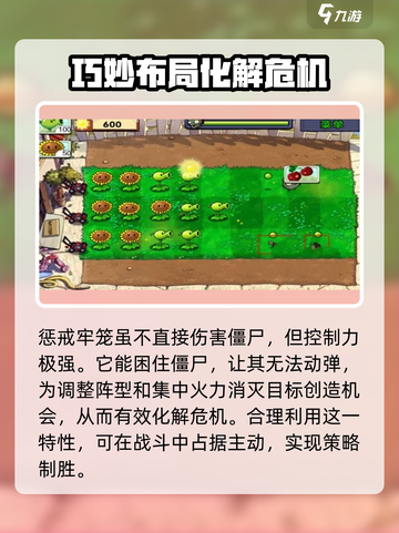 植物大战僵尸杂交版🔥笼子竟是无敌外挂？游戏技巧大揭秘！截图4