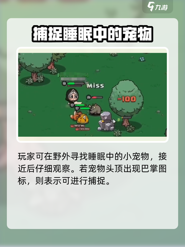 英勇之地怎么抓宠物的介绍截图2