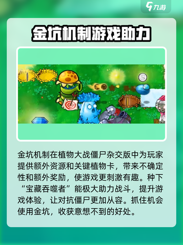 植物大战僵尸杂交版金坑🔥揭秘你不知道的秘密！截图4