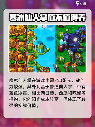 植物大战僵尸：寒冰仙人掌💎超好用！冻住僵尸不是梦🔥截图2