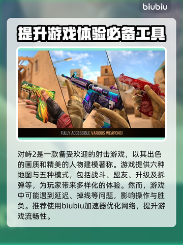 对峙2⚡加速器推荐，玩对峙2必备🔥截图2