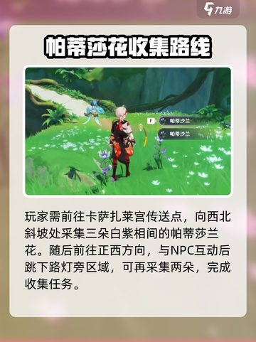🎮原神帕蒂莎兰采集位置大公开！截图2