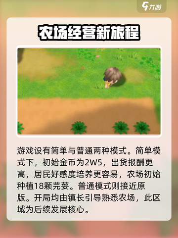 牧场物语重聚矿石镇游戏介绍介绍截图3