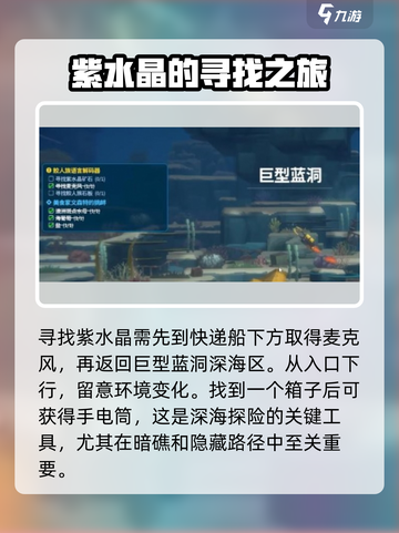 潜水员戴夫紫水晶在哪里介绍截图2