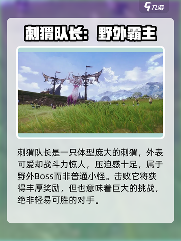 剑灵2🔥刺猬队长打法攻略✨助你轻松通关！截图3