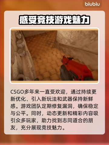 CSGO掉帧？这款加速器让你畅爽玩耍！🔥🎮截图2