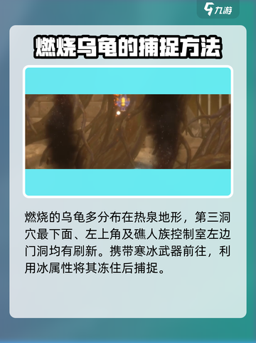 潜水员戴夫燃烧的乌龟怎么捉介绍截图3