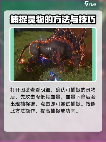 仙剑世界灵物是什么介绍截图3