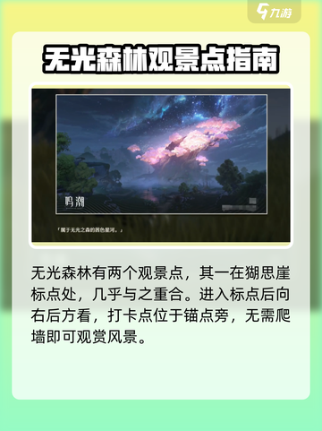 鸣潮🔥无光森林观景点位置大曝光！快来看看✨截图2