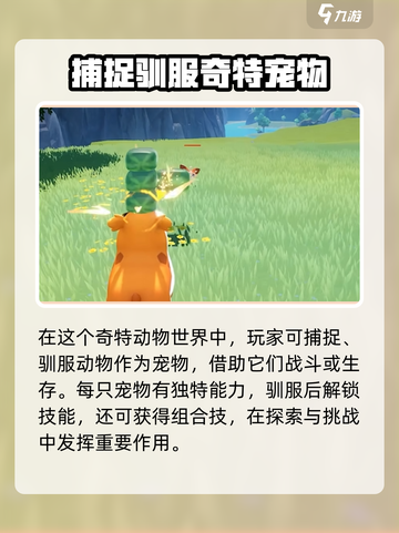 酷比大陆攻略分享介绍截图3