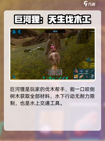 方舟生存进化手游前期必训龙🔥新手速看！截图4
