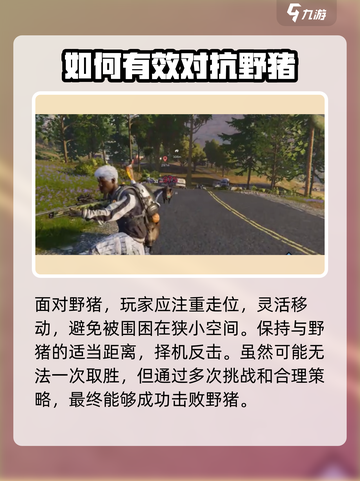 七日世界野猪怎么打介绍截图4