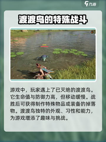 荒野起源渡渡鸟的特点分享介绍截图2