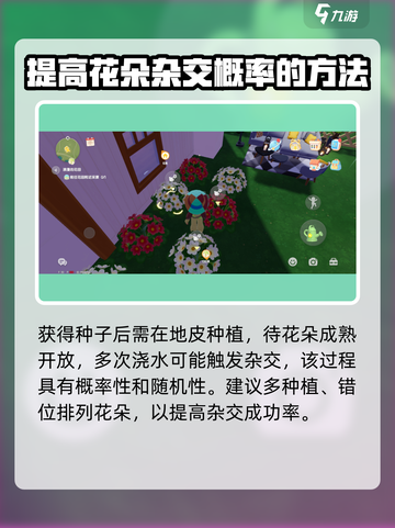 心动小镇🔥粉色雏菊培育秘籍🌸让你的花园美翻天！截图3