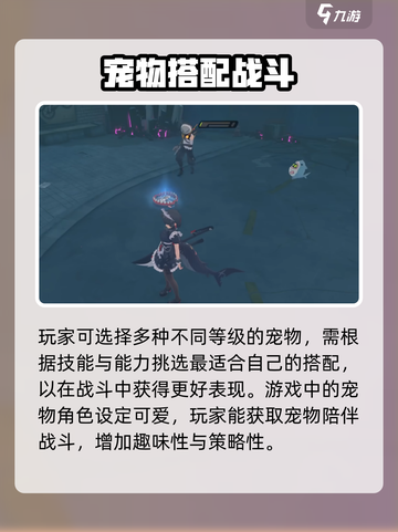 绝区零🔥战斗宠物推荐｜最强搭配等你来选！截图4
