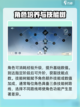 风色幻想命运传说角色怎么培养介绍截图2