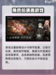 黑色信标公测什么时候介绍截图3