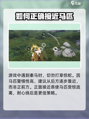 燕云十六声秦马如何抓捕介绍截图2