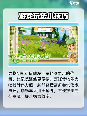 心动小镇🔥新手必看！快速上手攻略🎉截图5