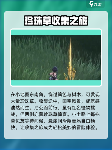 鸣潮💎珍珠草位置大揭秘！玩家必看🔥截图4
