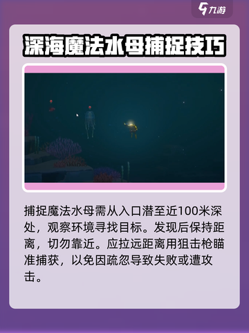 潜水员戴夫水母怎么抓介绍截图5
