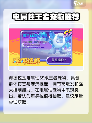 砰砰法师ss宠物有哪些介绍截图5