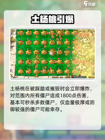 🔥植物大战僵尸：土杨桃神操作！💥截图3