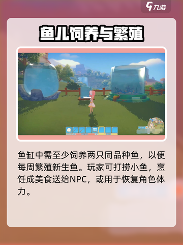 波西亚时光养鱼有什么用介绍截图3
